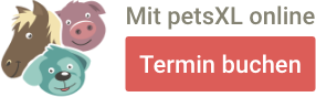 Online Termin für Tierarzt Leipzig buchen